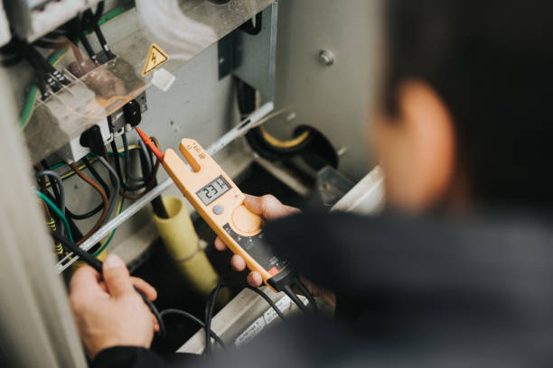 Best Electric Panel Repair  in Trinity, AL