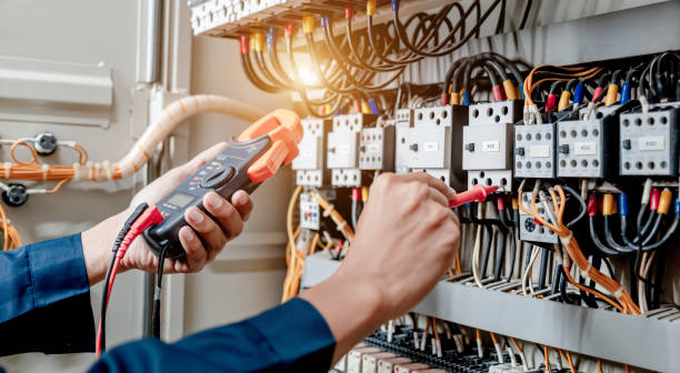 Best Generator Installation Services  in Trinity, AL